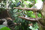 DSC_9050.JPG